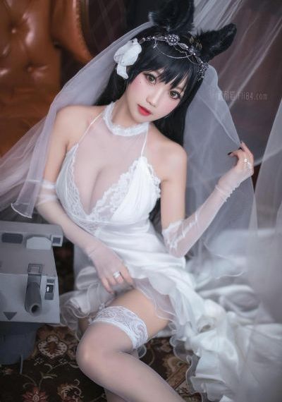 在线免费观看h片_DVD免费观看韩国
