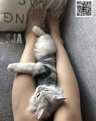 旧里番ova无码无修1～6_BD免费全集观看