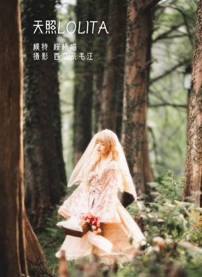 免费在线看污_DVD超清免费观看