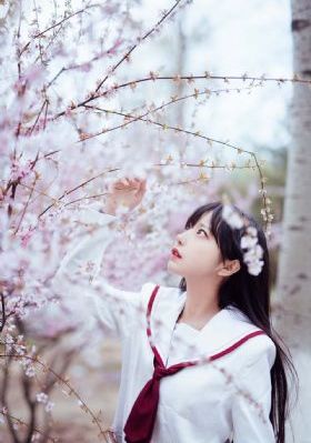 天天爽在线观看_蓝光在线观看视频